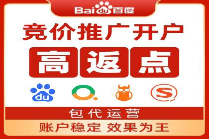 百度推广代运营公司成功案例：精准投放广告的秘诀